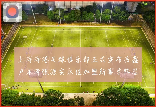 上海海港足球俱乐部正式宣布岳鑫卢永涛张源安永佳加盟新赛季阵容更新