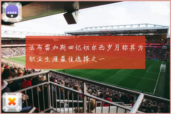 法布雷加斯回忆切尔西岁月称其为职业生涯最佳选择之一
