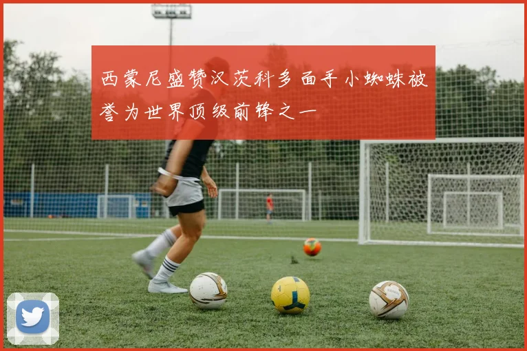 西蒙尼盛赞汉茨科多面手小蜘蛛被誉为世界顶级前锋之一