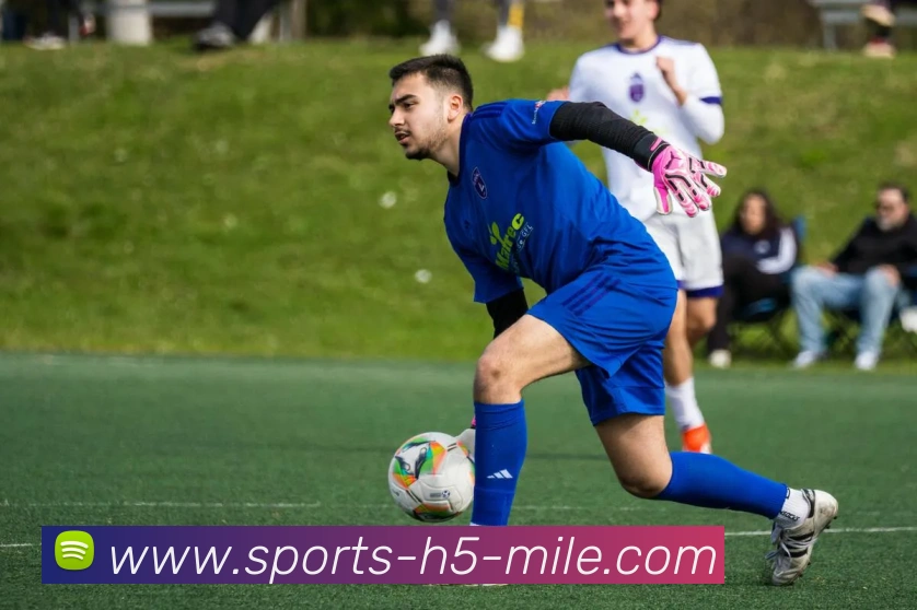 米乐体育全站App